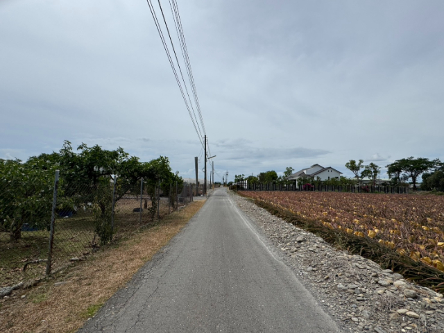 屏東大武山景近長治農地