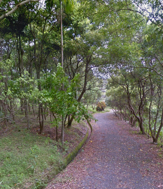 東海岸成功鎮風景區農地